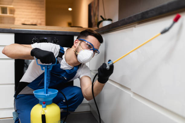 Best Mosquito Control Services  in Eutaw, AL