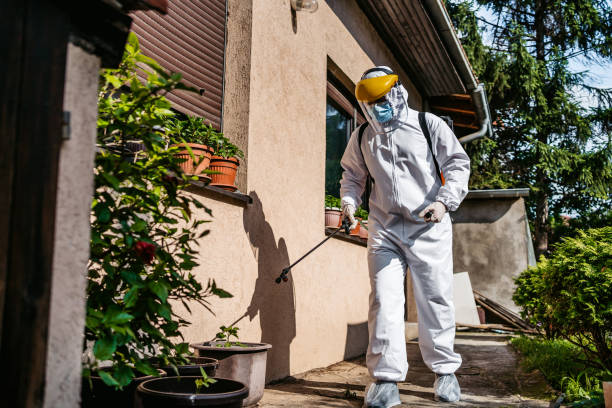 Best Pest Removal Services  in Eutaw, AL