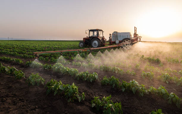 Professional Pest Control in Eutaw, AL