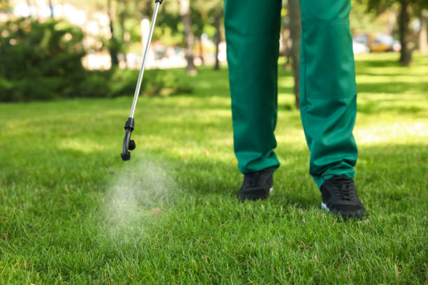 Best Affordable Pest Control Services  in Eutaw, AL