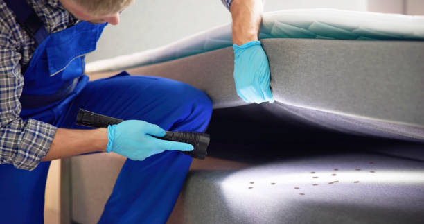 Best Rat Extermination Near Me  in Eutaw, AL