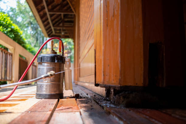 Best Insect Control  in Eutaw, AL