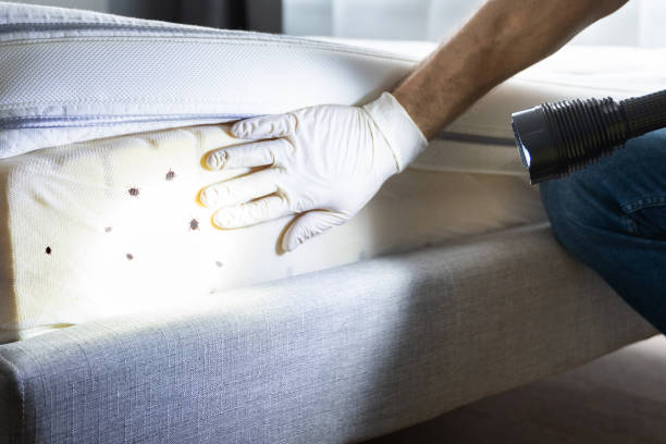 Best Best Pest Control Companies  in Eutaw, AL