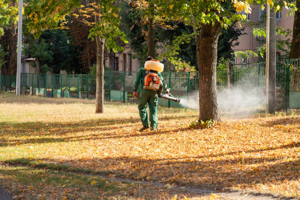 Best Pest Removal Services  in Eutaw, AL