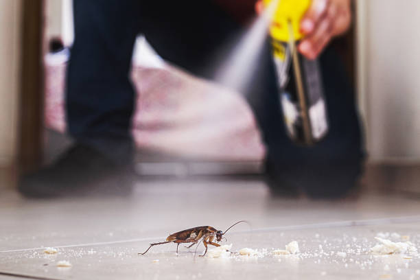 Best Pest Control Treatment  in Eutaw, AL