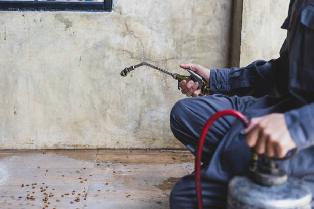 Best Emergency Pest Control  in Eutaw, AL
